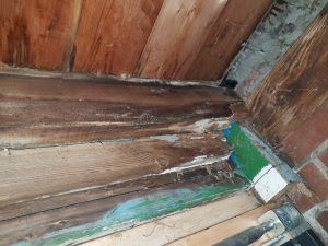 Reading, Basingstoke & Newbury wood rot specialists