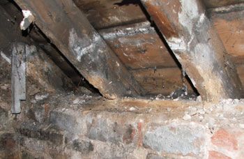 Reading, Basingstoke & Newbury wood rot solutions