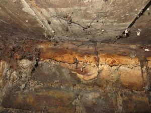 Wood Rot Solutions in Reading, Basingstoke & Newbury