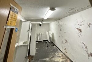 Basment damp proofing Reading, Basingstoke & Newbury